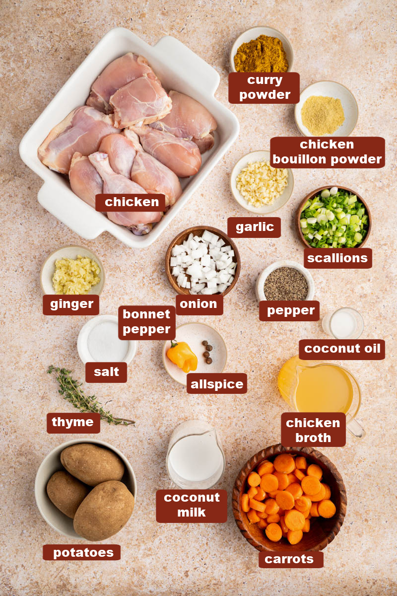 All of the ingredients for Jamaican Chicken Curry in bowls on a countertop.