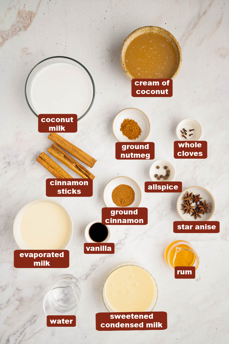 All of the ingredients for coquito in bowls on a white countertop.