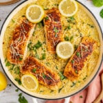 lemon salmon orzo in a skillet after cooking