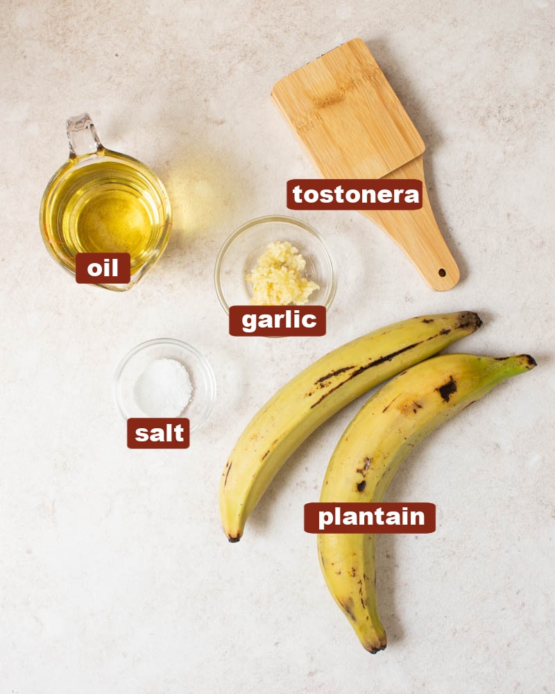 All of the ingredients for tostones (or fried green plantains) on a white countertop including oil, garlic, salt, green plantains and a tostonera. 