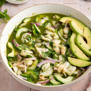 The finished aguachile wit the sliced avocado and extra cilantro garnished on top.