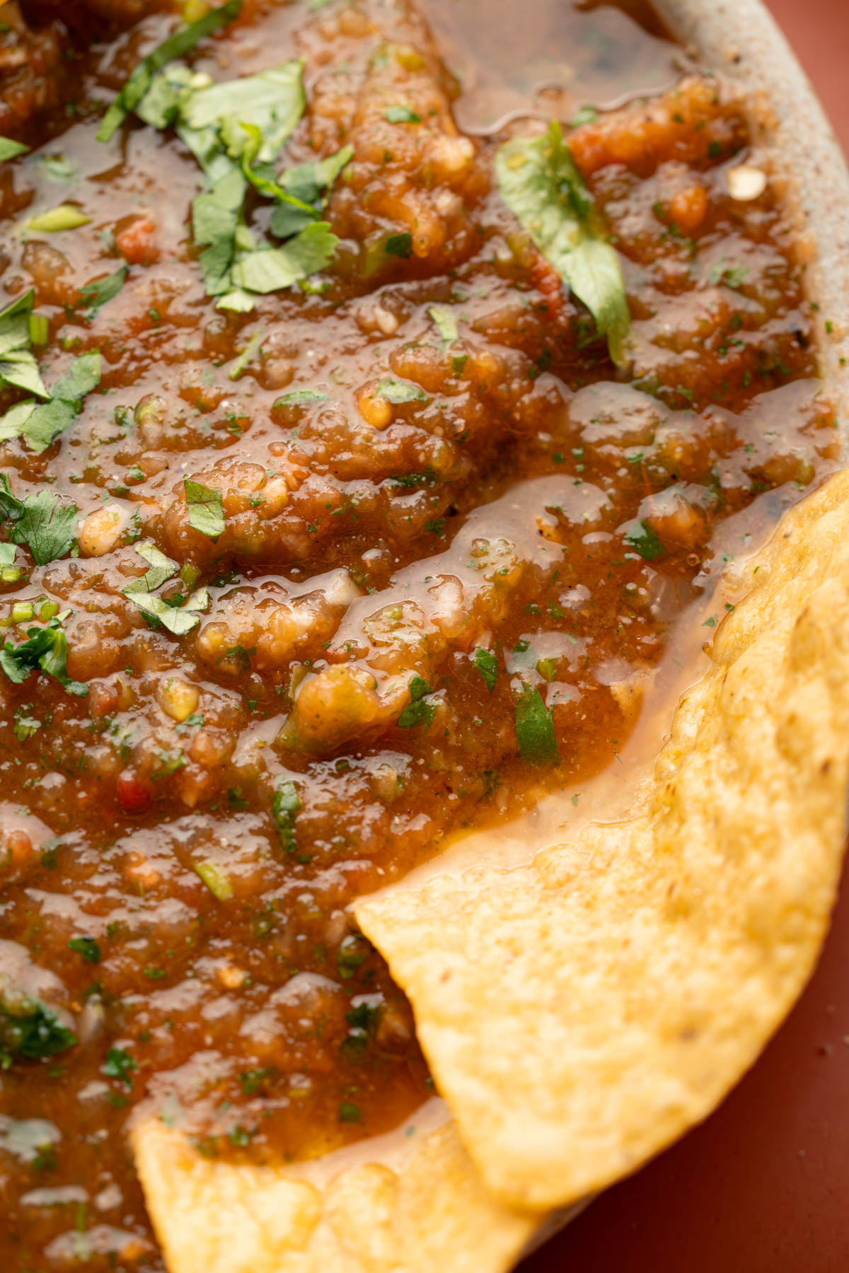 Two chips are scooping into a bowl of chunky salsa.